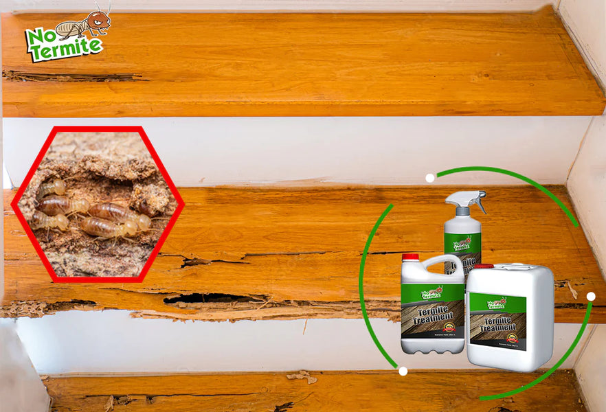 Are your homes termite resistant?